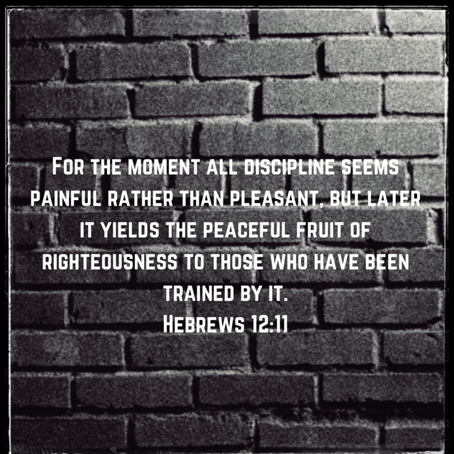 Discipline Yields the Fruit of Righteousness